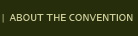 About the Conference
