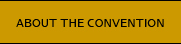 About the Conference