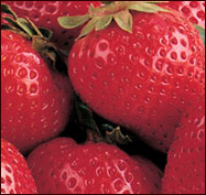 strawberries